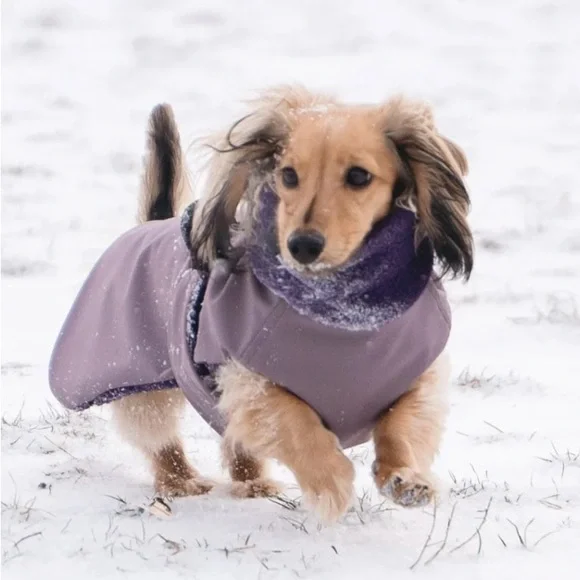 Longboi Purple Dog Coat - Picture 3 of 6